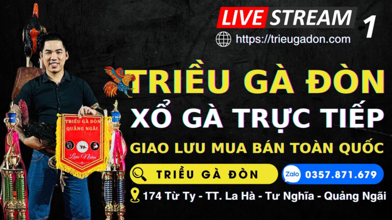 Video 17h59 ngày 22/1 –  TRIỀU GÀ ĐÒN QUẢNG NGÃI – SỚI 1